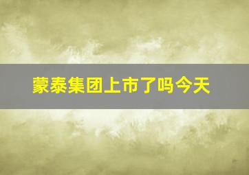 蒙泰集团上市了吗今天