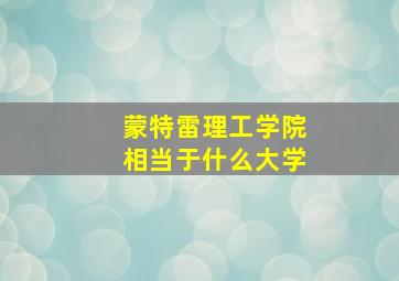 蒙特雷理工学院相当于什么大学