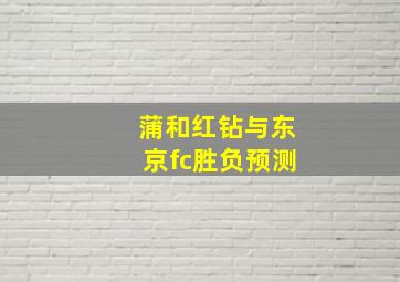 蒲和红钻与东京fc胜负预测