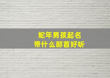 蛇年男孩起名带什么部首好听