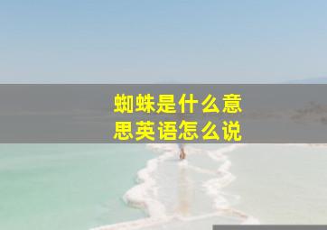 蜘蛛是什么意思英语怎么说