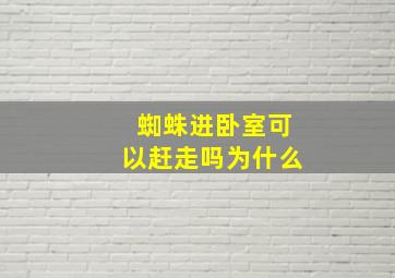 蜘蛛进卧室可以赶走吗为什么