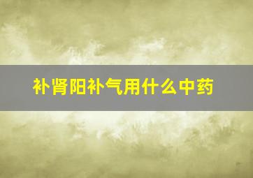 补肾阳补气用什么中药