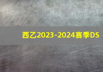 西乙2023-2024赛季DS