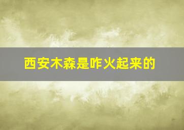 西安木森是咋火起来的