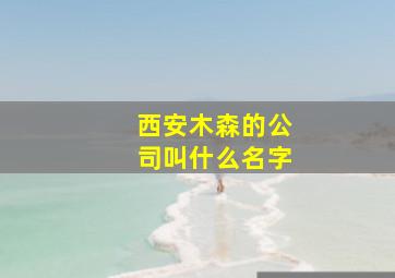 西安木森的公司叫什么名字