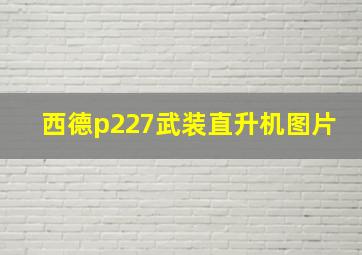 西德p227武装直升机图片