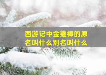 西游记中金箍棒的原名叫什么别名叫什么