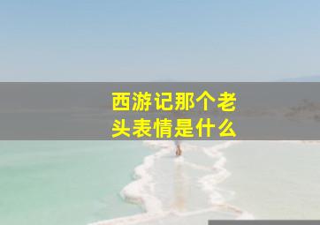 西游记那个老头表情是什么