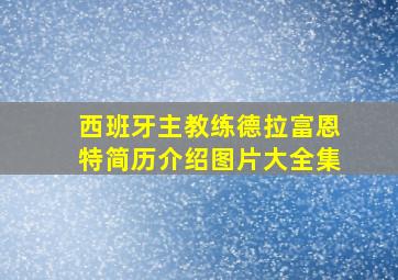 西班牙主教练德拉富恩特简历介绍图片大全集