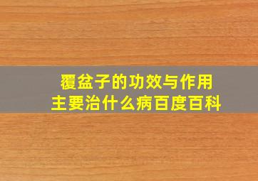 覆盆子的功效与作用主要治什么病百度百科