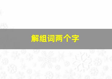 解组词两个字