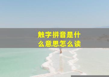 触字拼音是什么意思怎么读