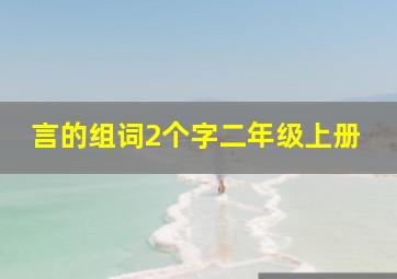 言的组词2个字二年级上册