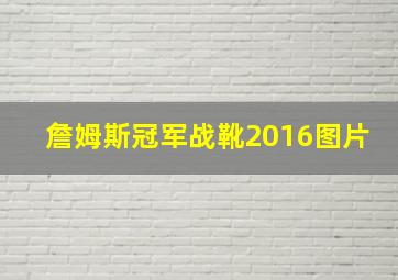 詹姆斯冠军战靴2016图片