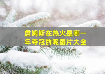 詹姆斯在热火是哪一年夺冠的呢图片大全