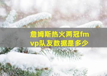 詹姆斯热火两冠fmvp队友数据是多少