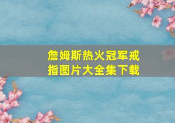 詹姆斯热火冠军戒指图片大全集下载