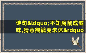 诗句“不知腐鼠成滋味,猜意鹓鶵竟未休”中的典故出自