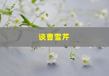 谈曹雪芹