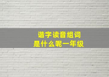 谐字读音组词是什么呢一年级