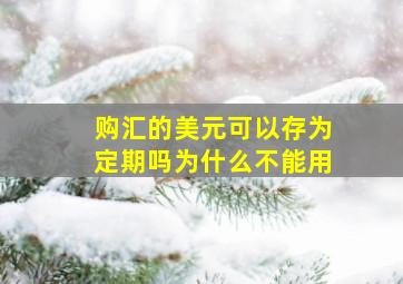 购汇的美元可以存为定期吗为什么不能用