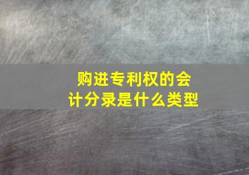 购进专利权的会计分录是什么类型