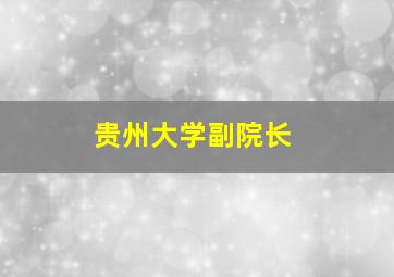 贵州大学副院长