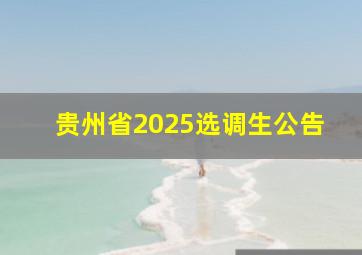 贵州省2025选调生公告