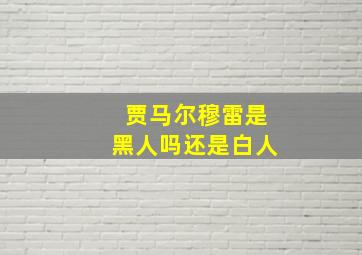 贾马尔穆雷是黑人吗还是白人