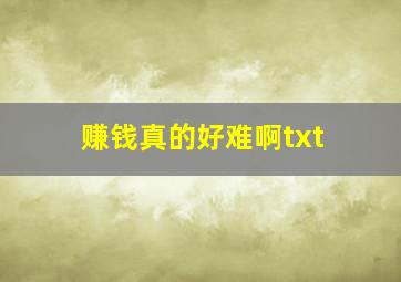 赚钱真的好难啊txt