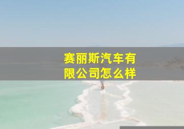 赛丽斯汽车有限公司怎么样