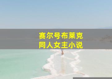 赛尔号布莱克同人女主小说