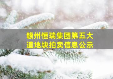 赣州恒瑞集团第五大道地块拍卖信息公示