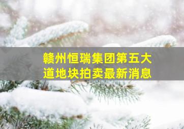 赣州恒瑞集团第五大道地块拍卖最新消息