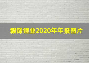 赣锋锂业2020年年报图片