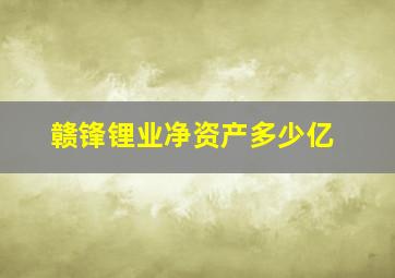 赣锋锂业净资产多少亿