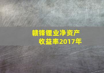 赣锋锂业净资产收益率2017年