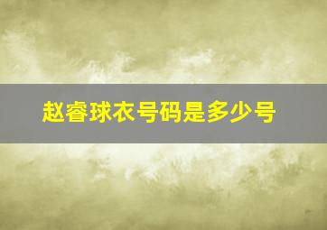 赵睿球衣号码是多少号