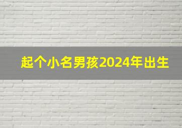 起个小名男孩2024年出生