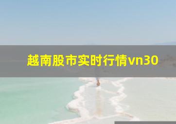 越南股市实时行情vn30