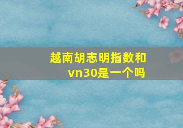 越南胡志明指数和vn30是一个吗