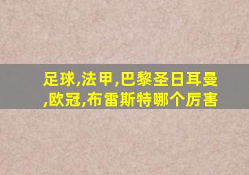 足球,法甲,巴黎圣日耳曼,欧冠,布雷斯特哪个厉害