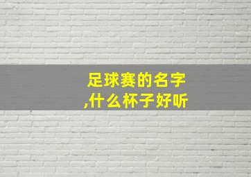 足球赛的名字,什么杯子好听