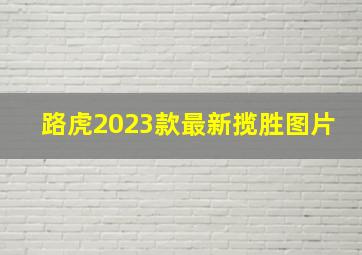 路虎2023款最新揽胜图片