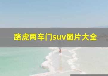 路虎两车门suv图片大全