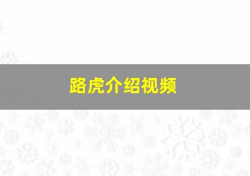 路虎介绍视频