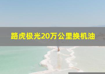 路虎极光20万公里换机油