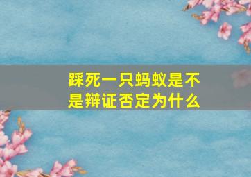 踩死一只蚂蚁是不是辩证否定为什么