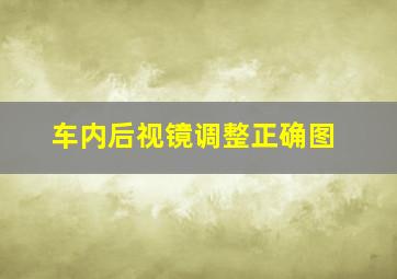 车内后视镜调整正确图